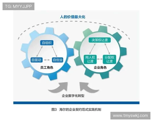 以何为企业家为中心构建创新驱动的可持续发展战略路径系统框架研析